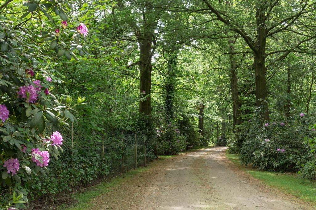 Lage MierdeBungalowpark Vogelenzang别墅 外观 照片