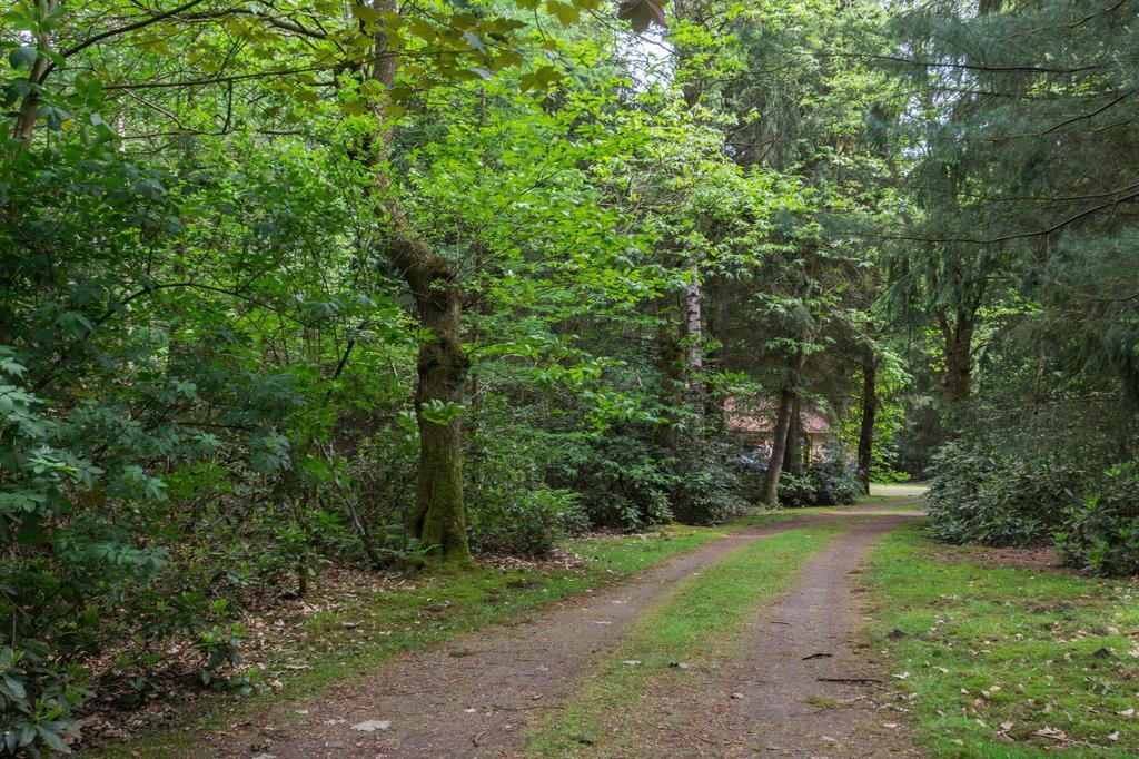 Lage MierdeBungalowpark Vogelenzang别墅 外观 照片