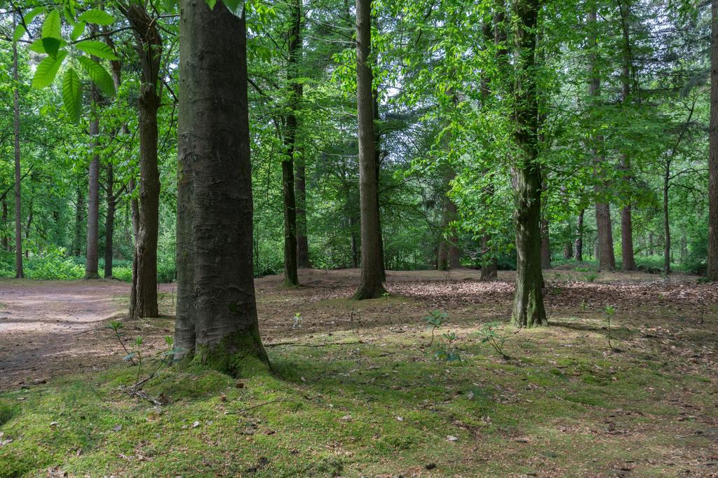 Lage MierdeBungalowpark Vogelenzang别墅 外观 照片