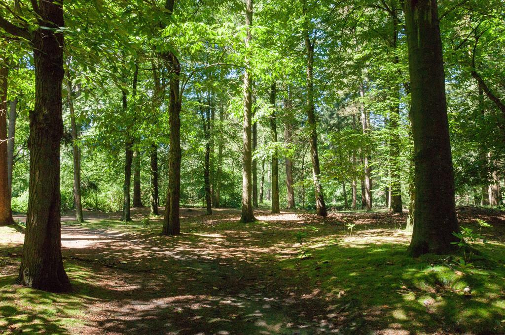 Lage MierdeBungalowpark Vogelenzang别墅 外观 照片